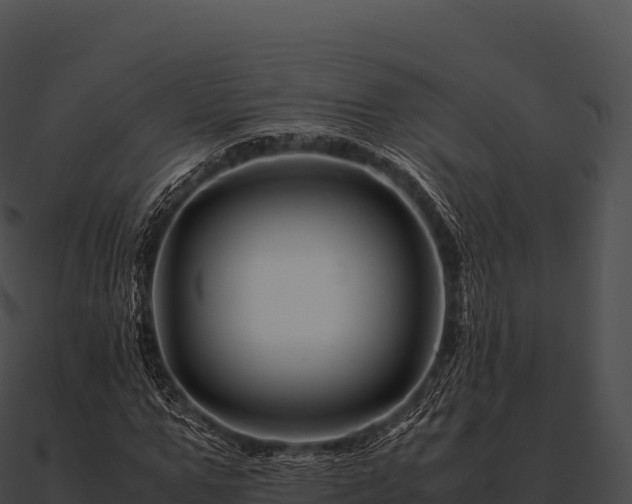X0000090880967200708031028