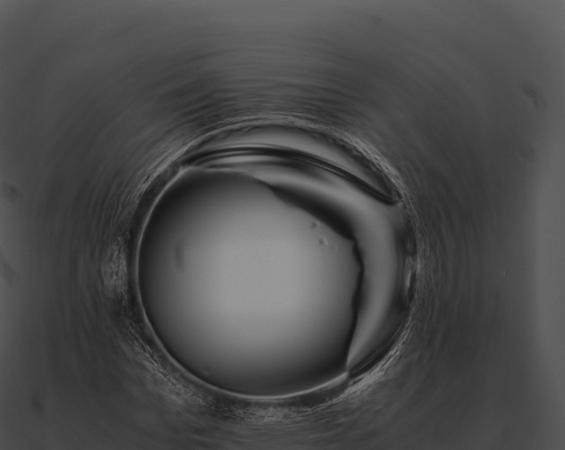 X0000090880969200708031028