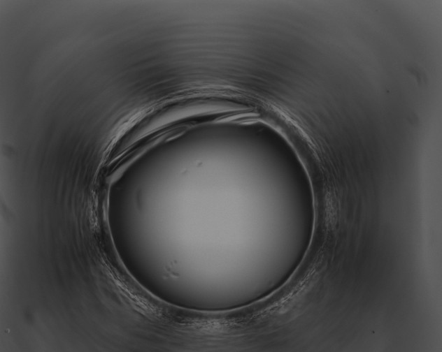 X0000090880970200708031028
