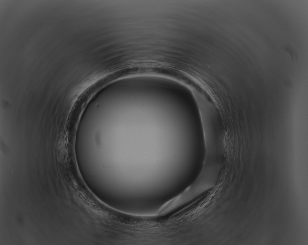 X0000090880971200708031028