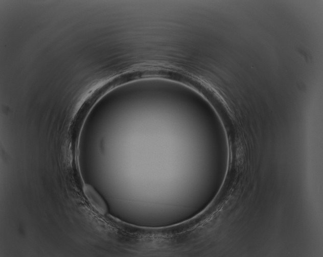 X0000090880973200708031028
