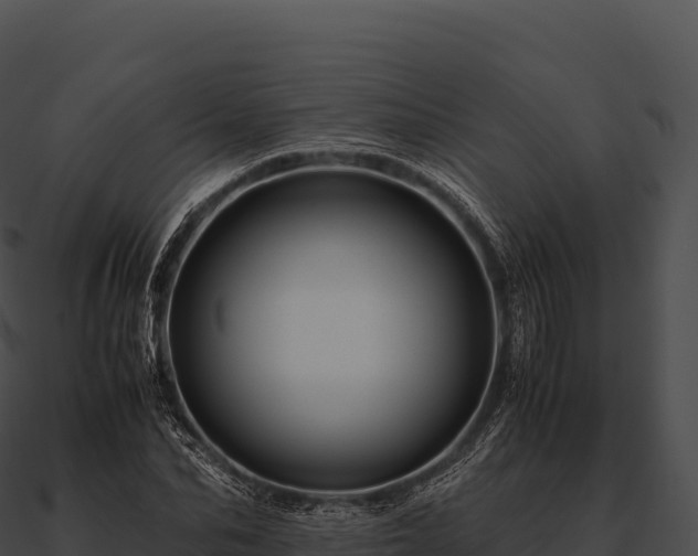 X0000090880974200708031028