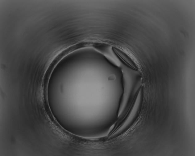 X0000090880976200708031027