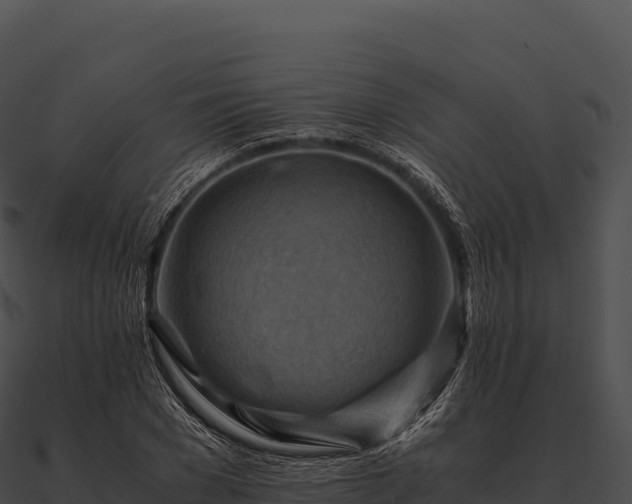 X0000090880977200708031027