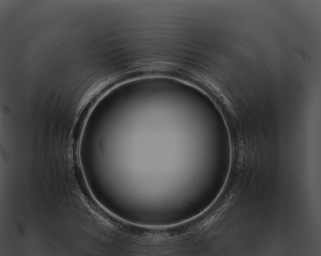 X0000090880978200708031027