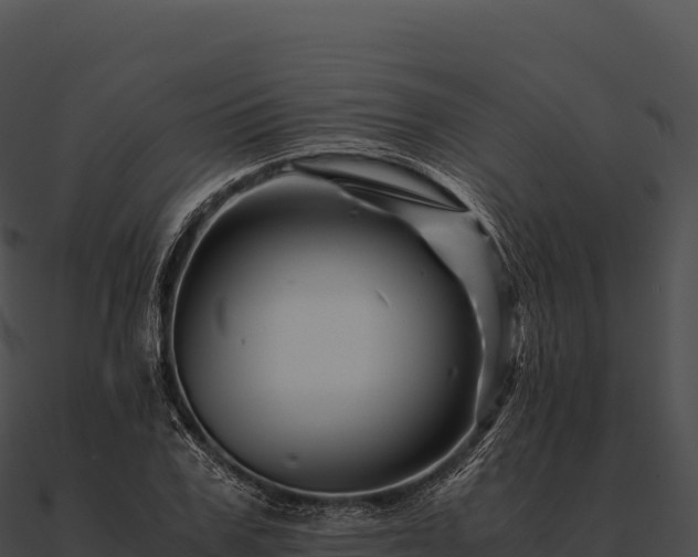 X0000090880979200708031027