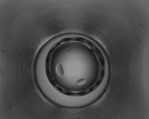 X0000090880981200708031027