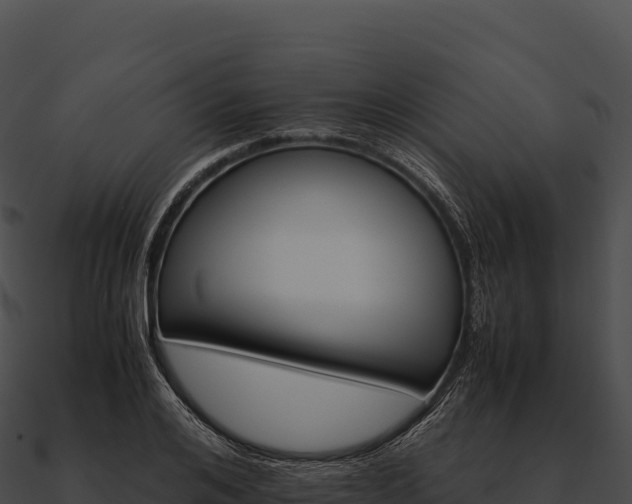 X0000090880984200708031027