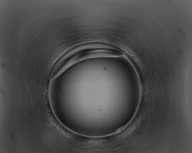 X0000090880985200708031027