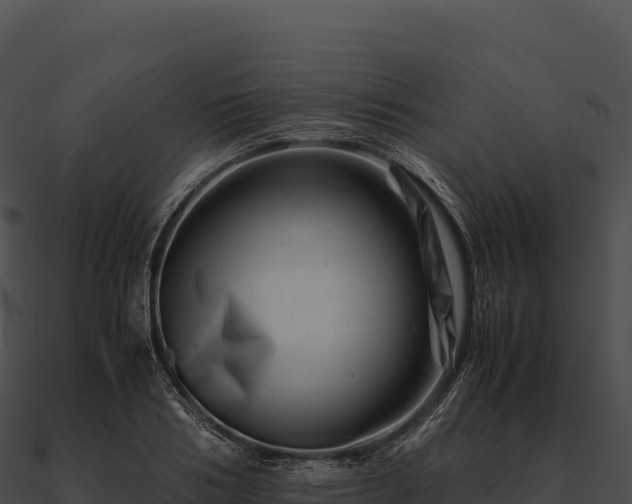 X0000090880986200708031027