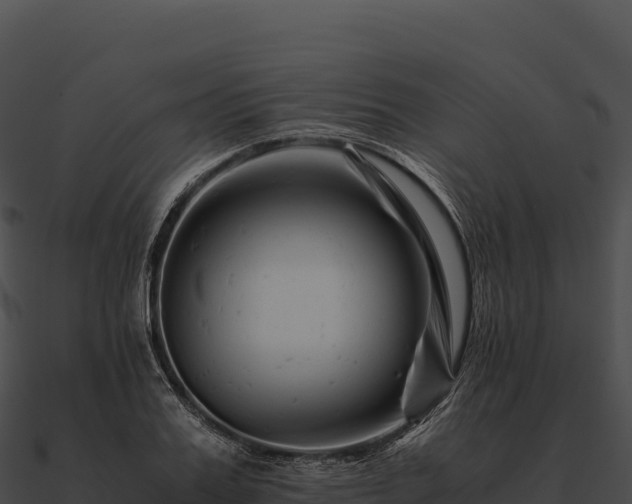 X0000090880987200708031027