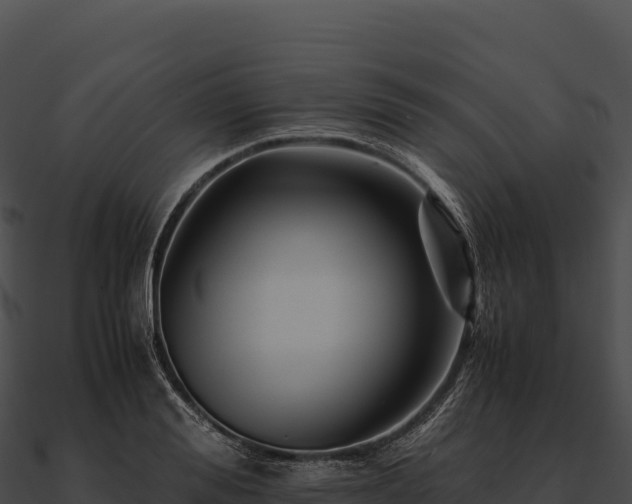 X0000090880988200708031027
