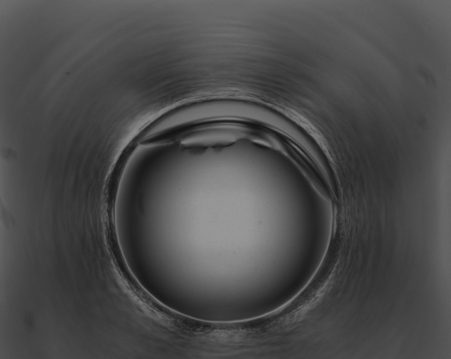 X0000090880989200708031027