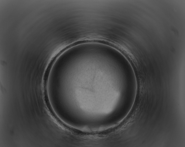 X0000090880990200708031027
