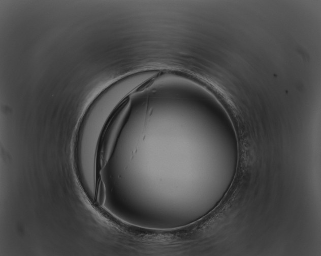 X0000090880991200708031027
