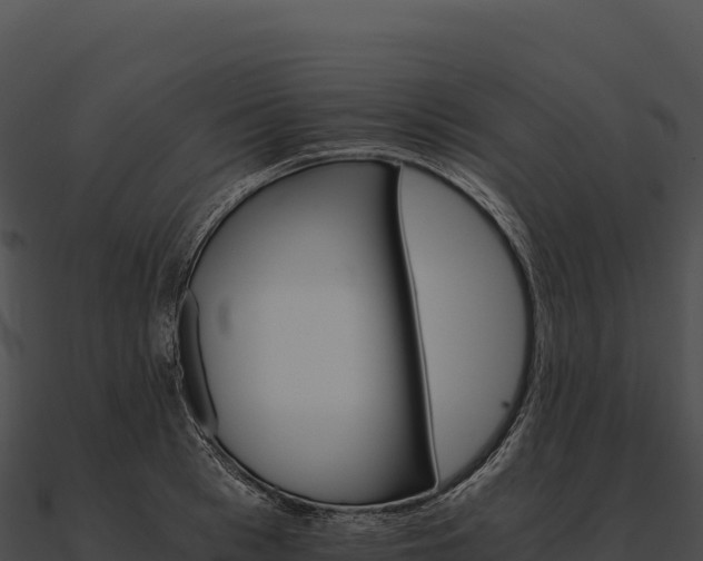 X0000090880993200708031027