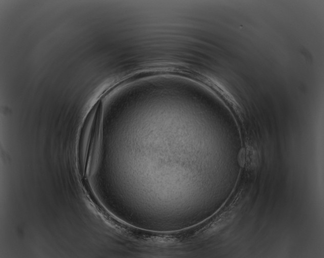 X0000090880994200708031027