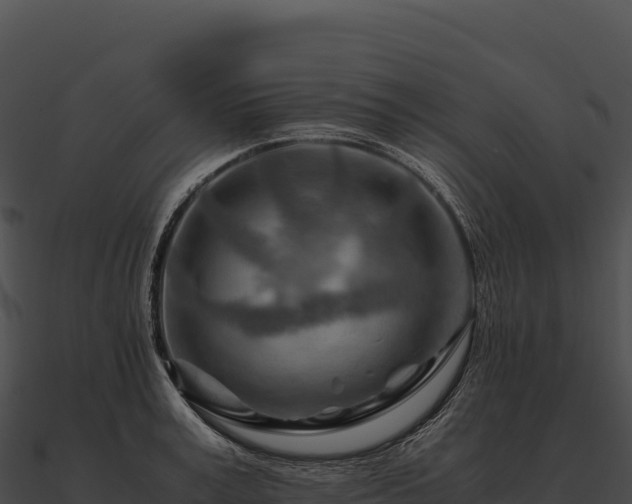 X0000090880995200708031027