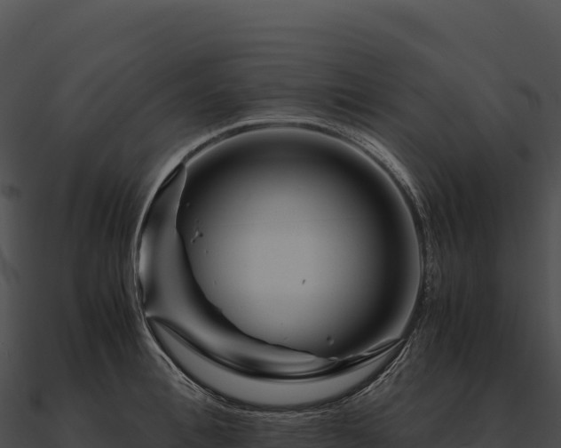 X0000090880996200708031027