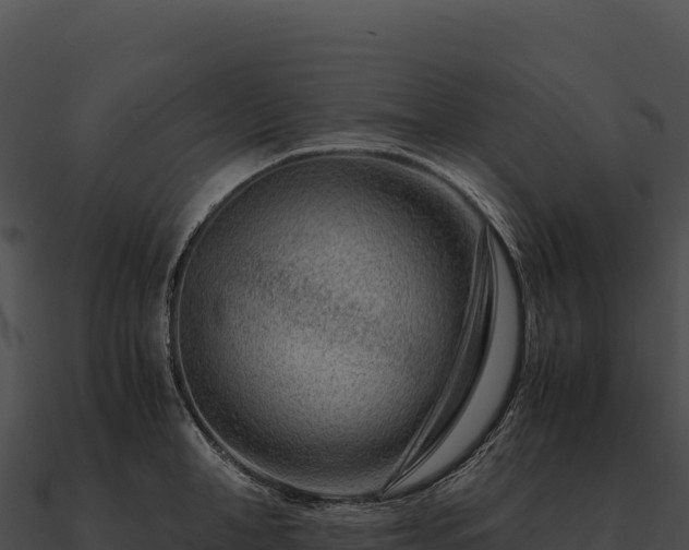X0000090880998200708031027