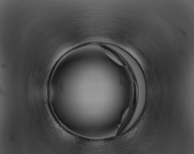 X0000090880999200708031027