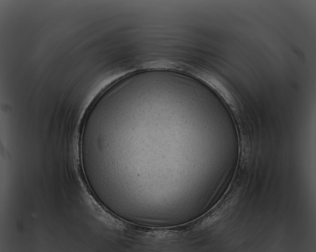 X0000090881000200708031027