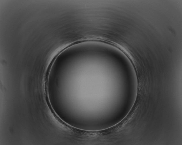 X0000090881003200708031027