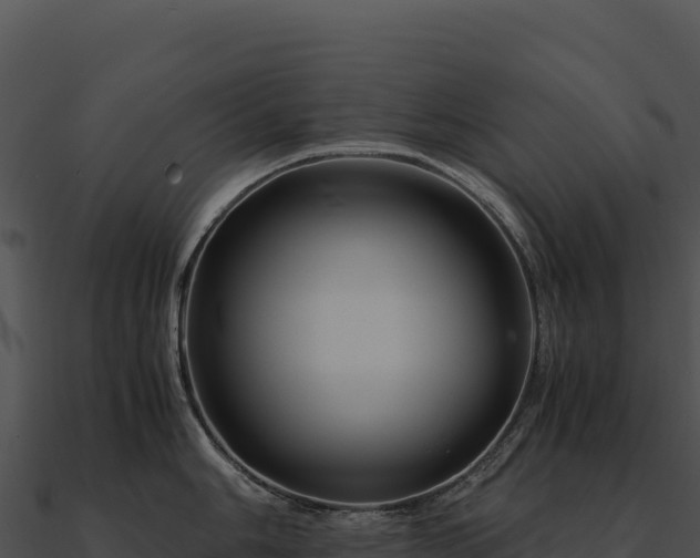 X0000090881006200708031027
