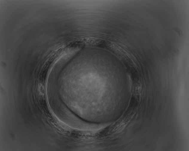 X0000090881010200708031026