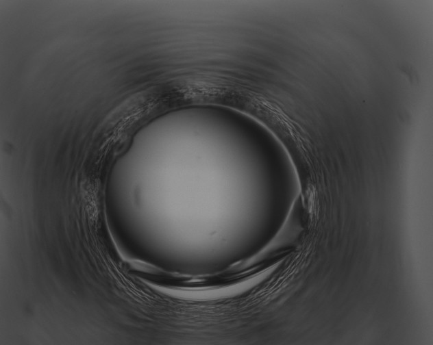 X0000090881012200708031026
