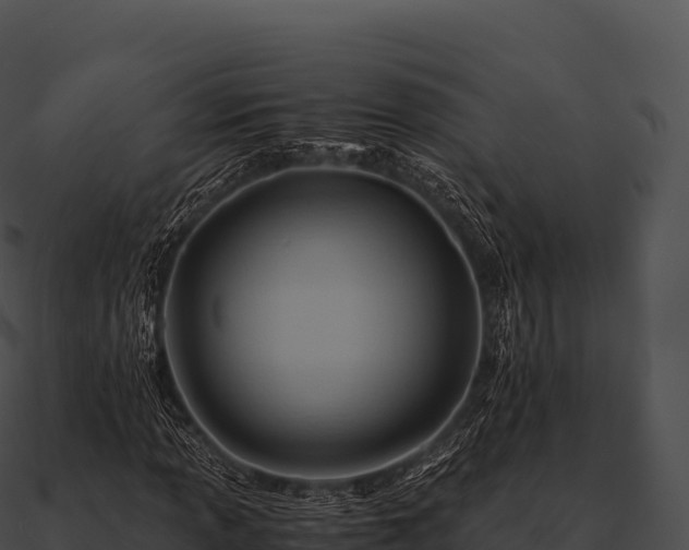 X0000090881013200708031026