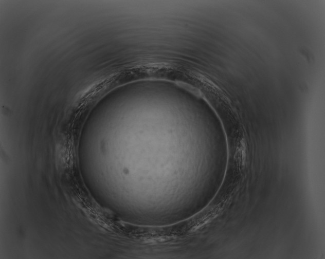 X0000090881014200708031026