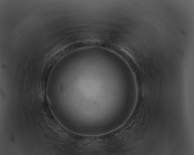 X0000090881015200708031026