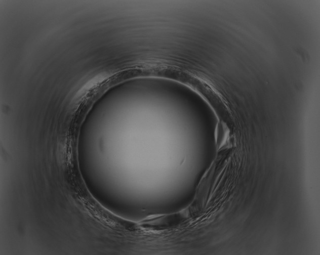 X0000090881016200708031026