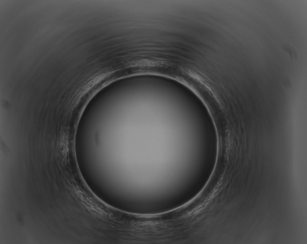 X0000090881017200708031026