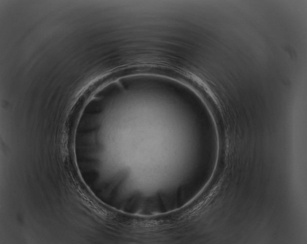 X0000090881019200708031026