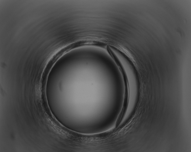 X0000090881020200708031026