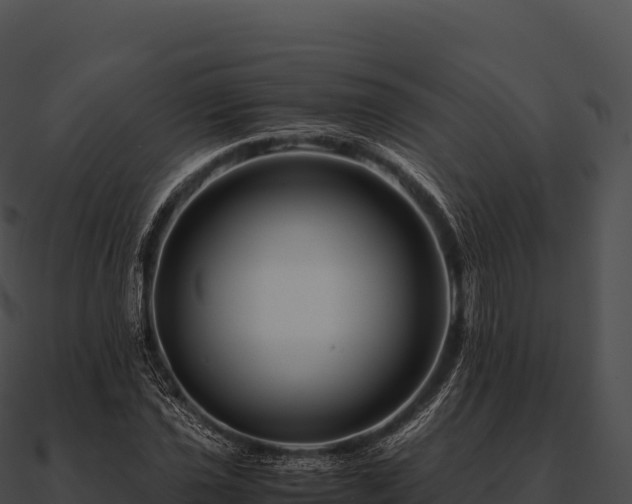 X0000090881021200708031026