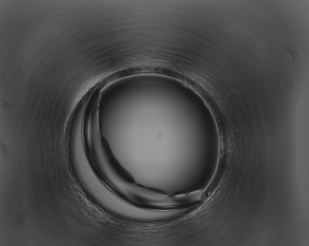 X0000090881022200708031026