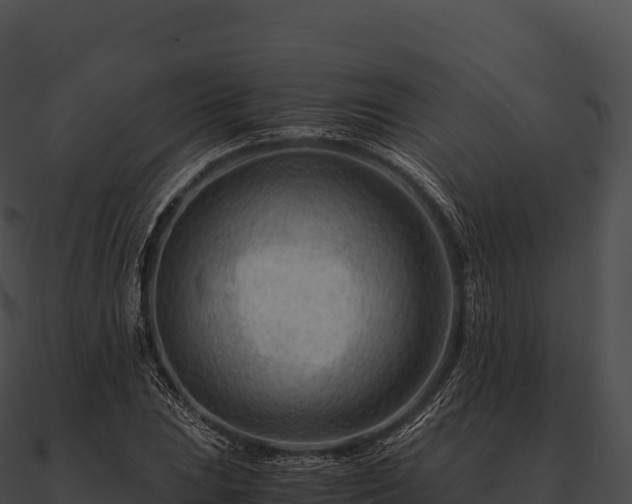 X0000090881023200708031026