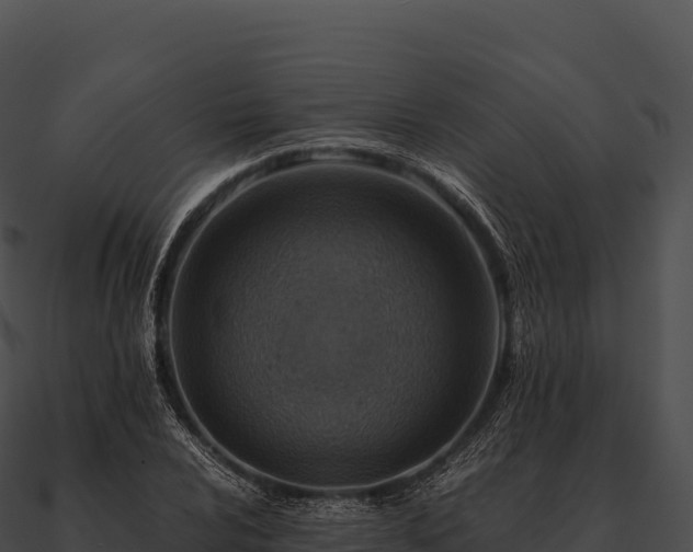 X0000090881024200708031026