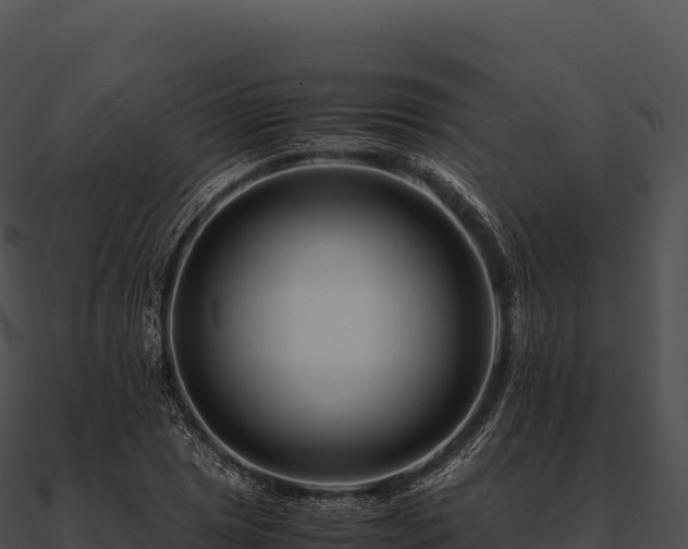 X0000090881025200708031026