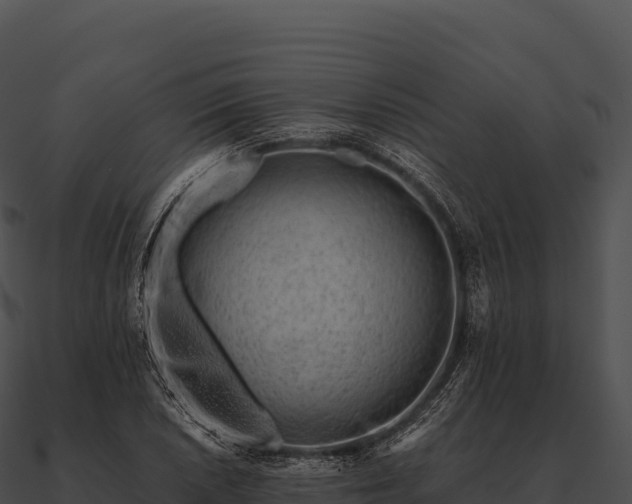 X0000090881026200708031026