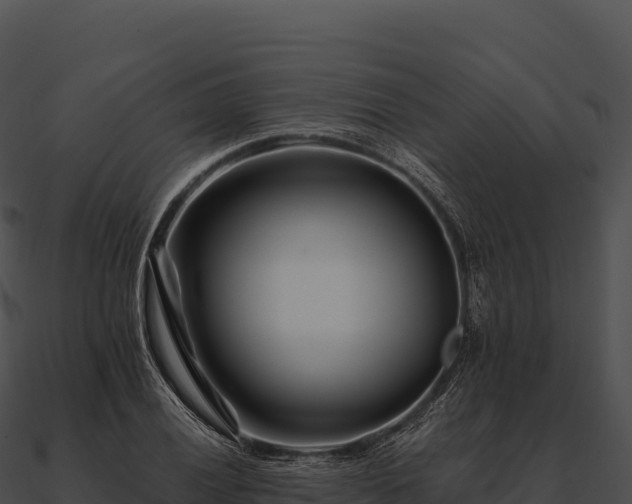 X0000090881028200708031026