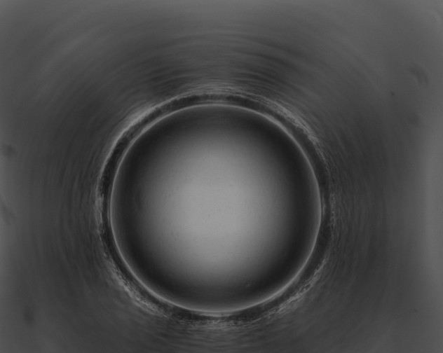 X0000090881029200708031026