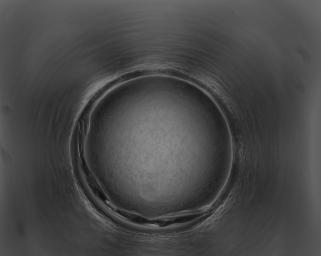 X0000090881030200708031026