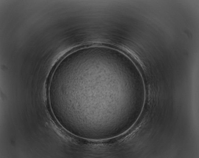 X0000090881031200708031026