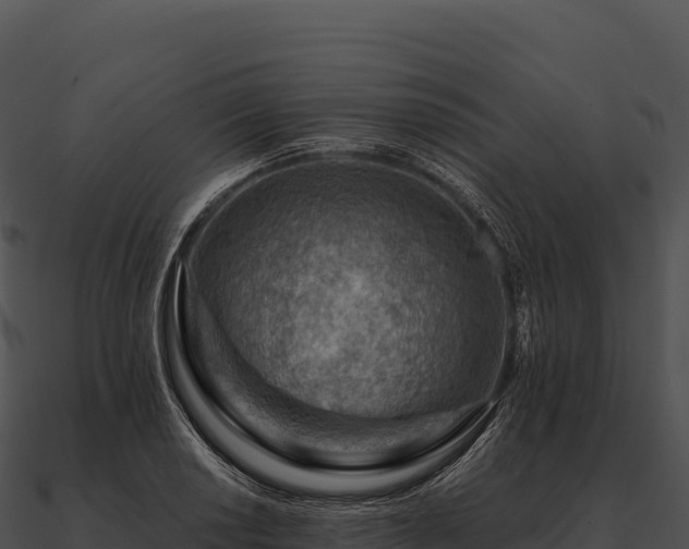 X0000090881034200708031026