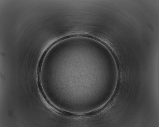 X0000090881038200708031027