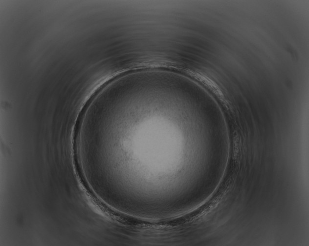 X0000090881039200708031027